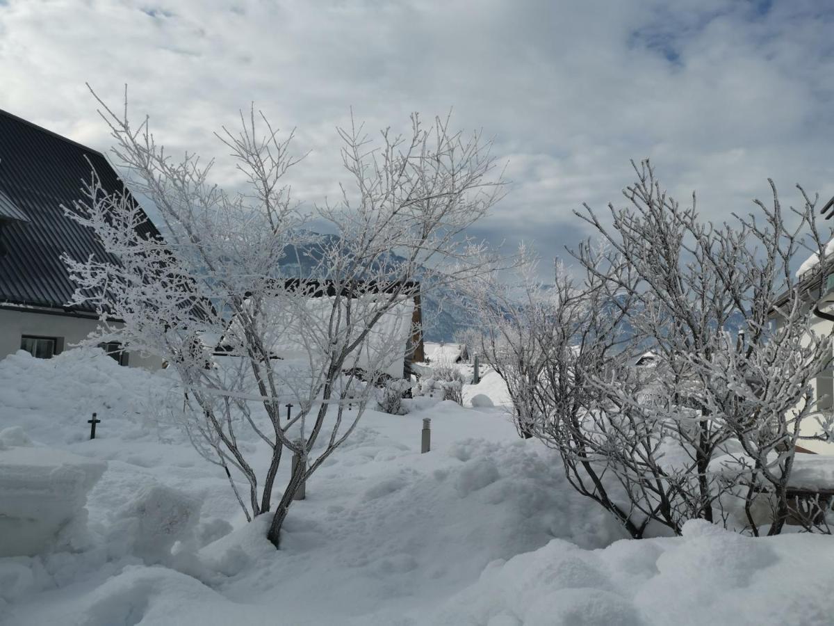 Apartment Jakovc Bohinji-tó Kültér fotó